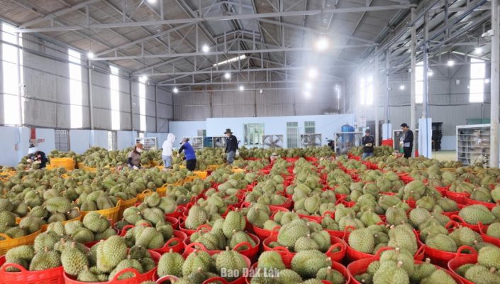 Báo Dân Xã Báo Dân Xã